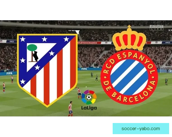 亚博体育官网最新资讯与精彩活动全方位解析指南