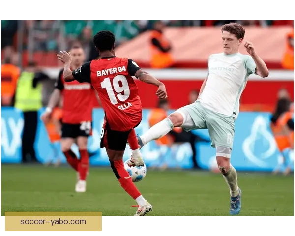 斯图加特球迷愤怒扔折叠椅场上冲突引发争议