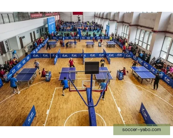 全民热玩体育竞猜游戏技巧解析赛事预测赢分攻略实战指南心得分享